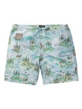 Burton Men's Creekside Green Unlined Swim Trunks Short Size: XL